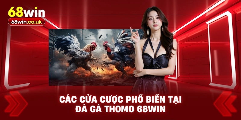 Các Cửa Cược Phổ Biến Tại Đá Gà Thomo 68WIN
